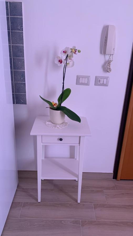 Holidays Apartment カリアリ エクステリア 写真